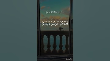 سورة الزخرف 🤍 #الرحمن #المصحف #ناصر القطامي #سورة الزخرف #explore #اكسبلور #اكسبلور #المصحف