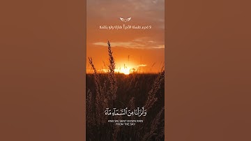 وثق دائما بأن اليد الممتدة إلى الله لا تعود فارغة أبدا#السّلف #الثبات #تلاوة_خاشعة #راحة_نفسية #شارك