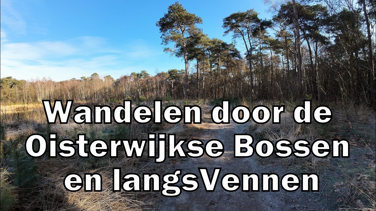 Wandelen in de Oisterwijkse Bossen en Vennen | Natuurgebied Het Groene Woud | Noord-Brabant