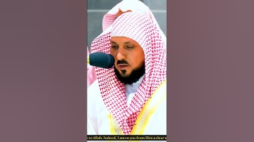 (ففروا إلى الله) ١٠ ثواني هم الأجمل في يومك مع القرآن |بصوت الشيخ ماهر المعيقلي| أواخر سورة الذاريات