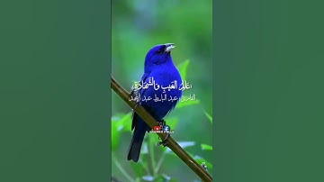التلاوة التي اذهلت العالم!! 🤯 | بصوت العملاق عبدالباسط عبدالصمد 🍁❤