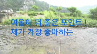 송어낚시(동남천)