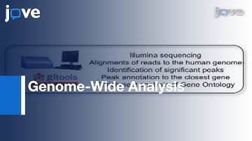 Genome-Wide Analysis Using ChIP To Identify Isoform-Specific Gene Targets l Protocol Preview