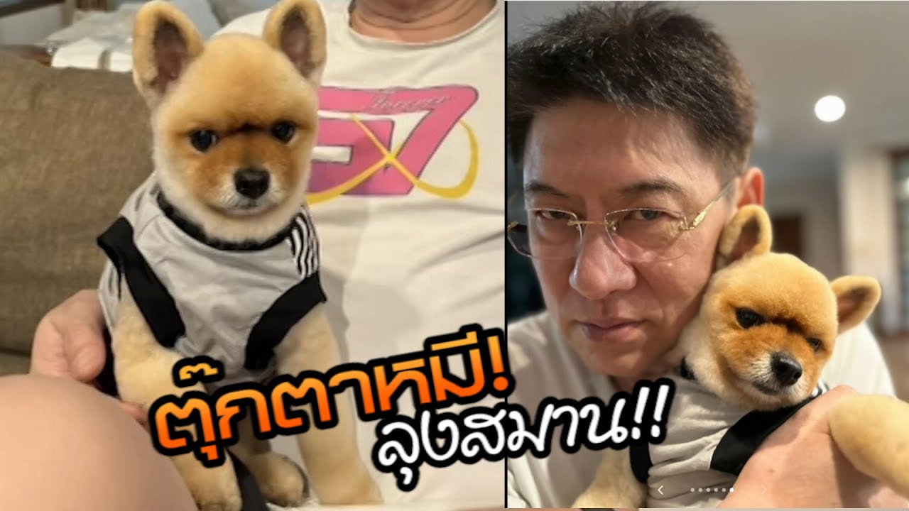 ตุ๊กตาหมี! ลุงสมาน!!