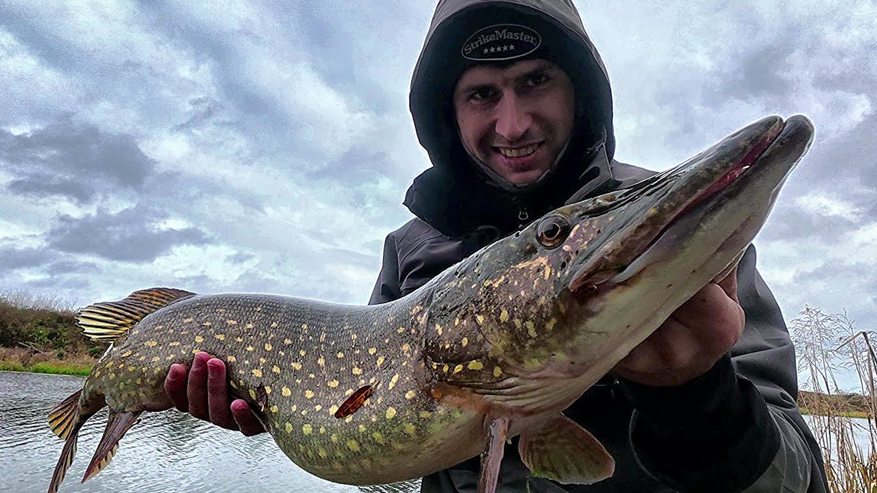 Pirmosios rudens lydekos, nuo kranto.