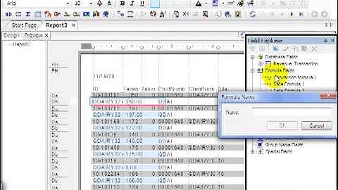 49 Crystal ReportsXI  Fields Dimensions Metrics 1   Conversion Functions