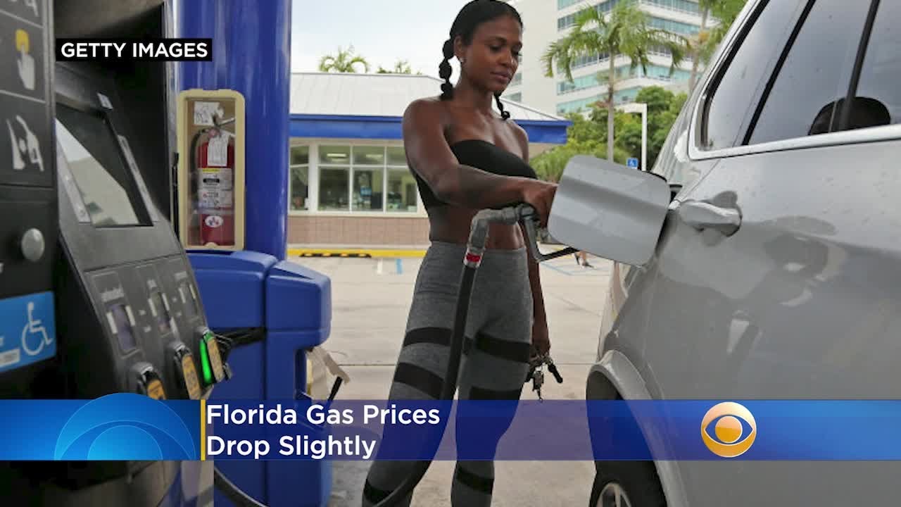 AAA: Florida Gas Prices Drop Slightly - YouTube