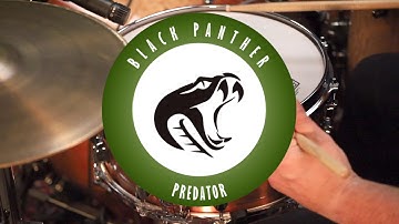 Mapex Black Panther Predator Snare - Product Overview