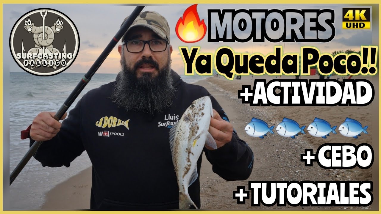 Pesca Surfcasting Pallico 💚 Regresa el CAPiTáN 