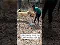 Play Time with Tonka!