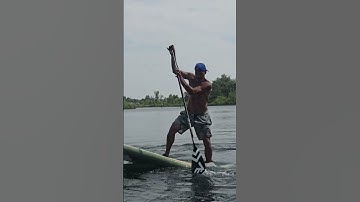 Thumbnail of PADDLEBOARD,  GUFFY  paddle spear,  FREESTYLE  #fyp #viralvideo #freestyle #paddleboarding