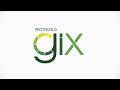 Protocolo GIX