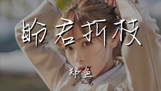 鄭魚 - 盼君折枝『奈何唯此心如舊 你走後 紅葉落滿袖』【動態歌詞Lyrics】