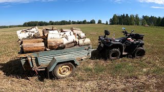 Linhai 300 trailer and firewood