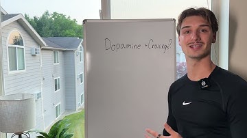 The Science of Cravings: Why You Can’t Just ‘Stop’ Using