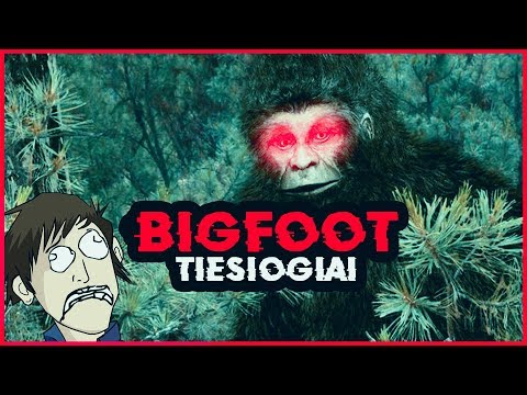 Video: „Bigfoot“medžioklė Atvira - Alternatyvus Vaizdas