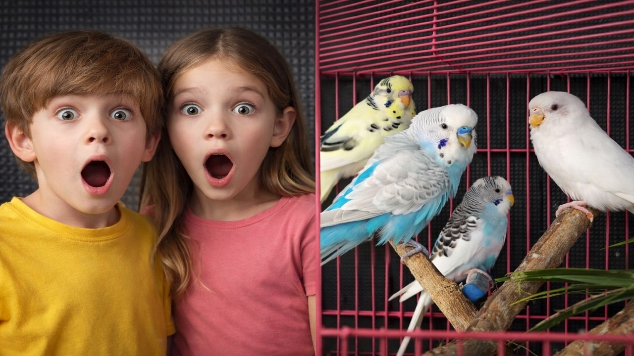 Parrot Talking Videos Compilation 2026 Is AMAZING