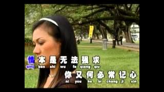 Yang Qing Meng Mei Yi Qiu