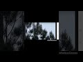 Humanoides voladores? #curiosidades #paranormal #video