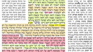 הדף היומי מסכת נידה דף יא Daf yomi niddah daf 11