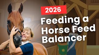 Celebrity How to Feed a Horse Feed Balancer | Complete Guide 2026 Wealth