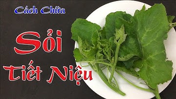Chữa khỏi dứt điểm sỏi tiết niệu, sỏi thận tại nhà bằng 1 nắm rau bí không phải ai cũng biết