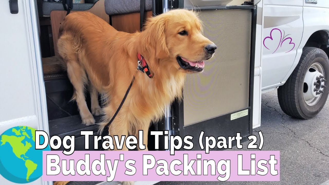 Tips for Travelling with a Service Dog (part 2) // WHAT TO PACK for Dog