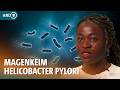 Helicobacter pylori: So gefährlich ist der Magenkeim I ARD Gesund