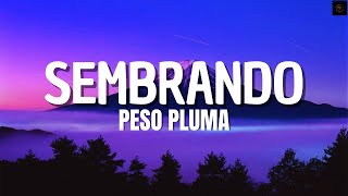 Sembrando || Peso Pluma (Letra\/Lyrics)