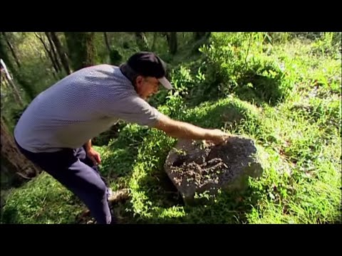 This guy actually belives in the Gympie Pyramid