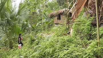 The Painful and Tearful Journey of a Single Mother Building a Bamboo House in the Forest