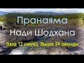 Нади Шодхана Пранаяма - Вход 12 секунд Выдох 24 секунд (на природе)