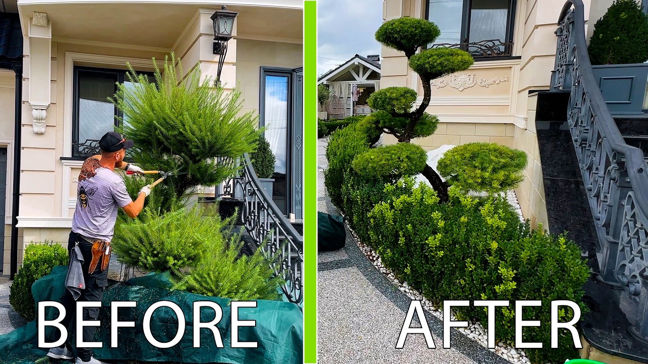 God Level Hedge Trimming — Ten Thousand Cuts to Create a Living Masterpiece!