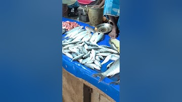 আমাদের মাছের বাজার || কেমন লাগছে বন্ধুরা  #shorts #fishmarket #minivlogs #shortsfeed #fish