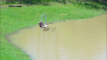 The Caretaker -- Temporary Bliss State (Stage 4)