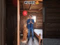 “Who need toys when balloon exist 🐶🎈”#GoldenRetriever #DogLove #FunnyDog #CuteDog #DogReels #AIVideo