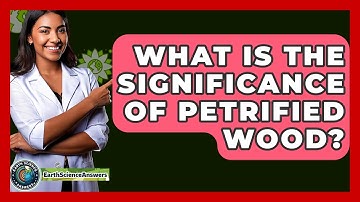 What Is The Significance Of Petrified Wood? - Earth Science Answers