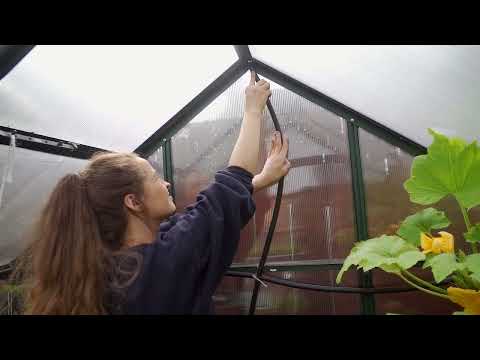 Video: Drip irrigation in the greenhouse. Drip hose. Do-it-yourself drip irrigation of the greenhouse