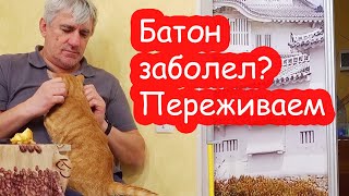 VLOG Уезжаем жить в Киев