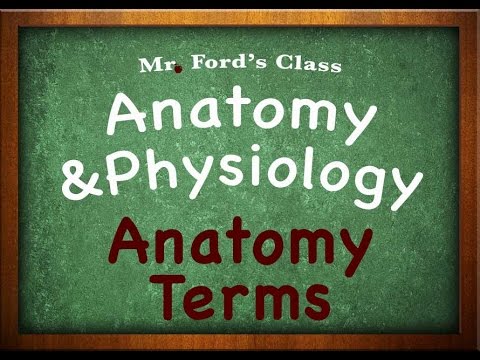 Introduction To Anatomy Physiology: Anatomy Terms (01:02)