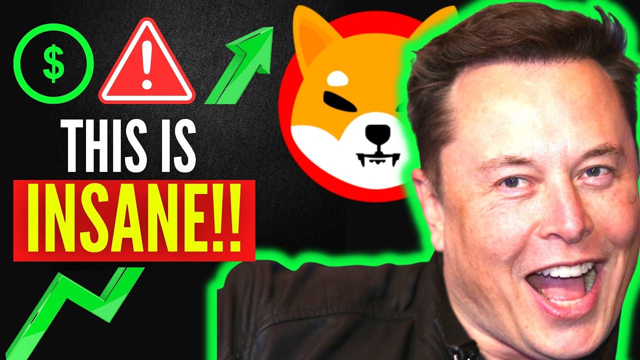 HOW RICH WILL YOU BECOME IF YOU INVEST $1000 IN SHIBA INU COIN TODAY ...