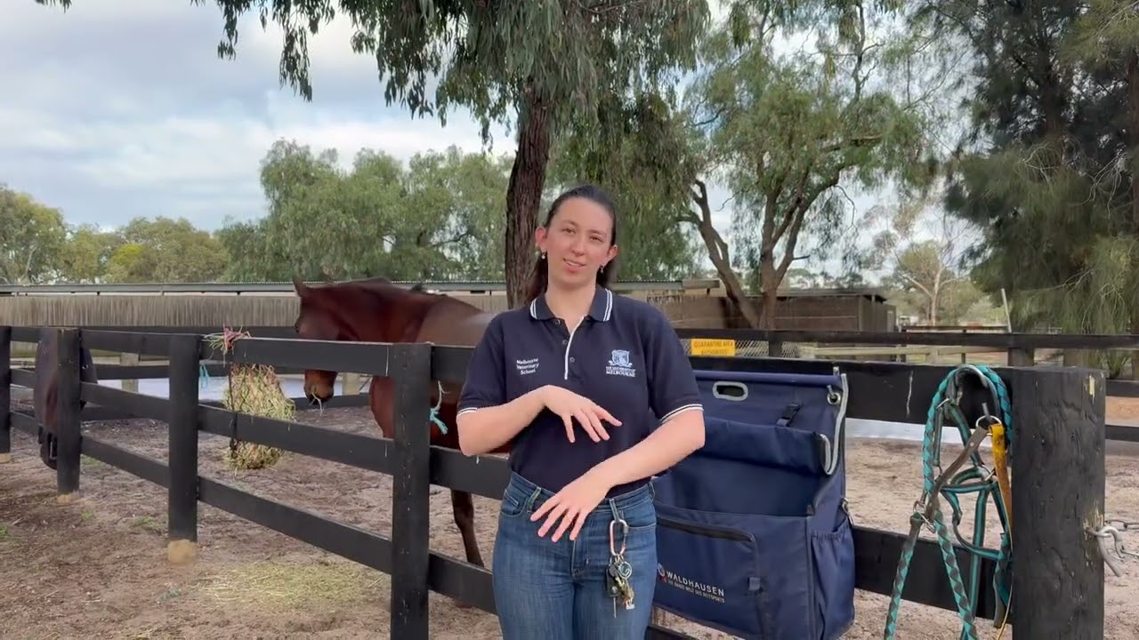 Apiam New Horizons Scholarship 2025 Application - Jamieson Manger