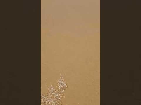 صافي ستسلمت و رضية بالمكتاب الحمد الله