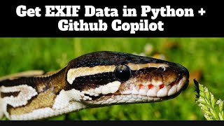 EXIF Data Extraction in Python (+PyQt5 UI) with Github Copilot