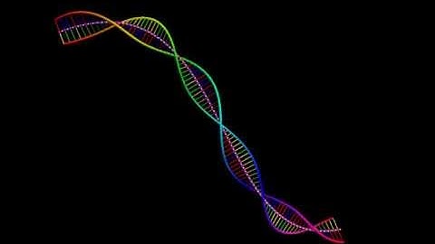 DNA created by Vpython