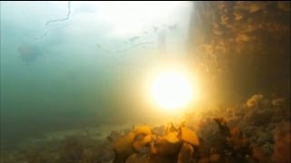 Underwater fireworks