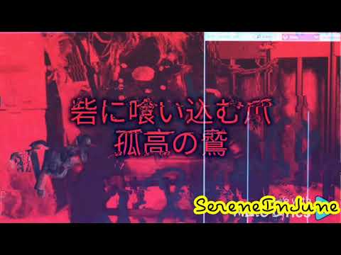 𝗔𝗟𝗜 𝗣𝗥𝗢𝗝𝗘𝗖𝗧 「亡国覚醒カタルシス」【歌詞】