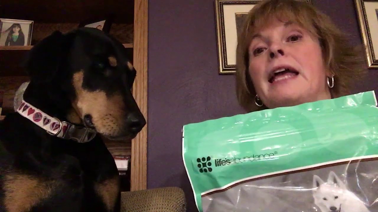 How to keep your Dog & Cat food FRESH! YouTube