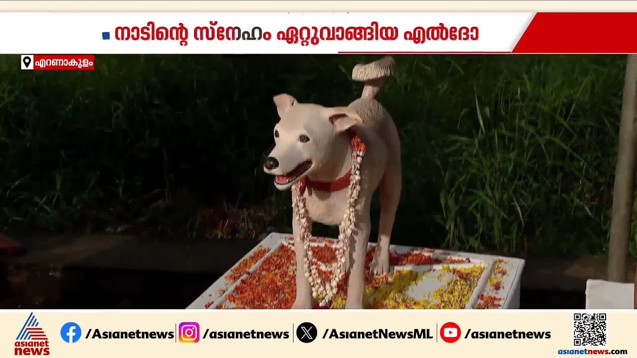 ഏരൂരുകാരുടെ പ്രിയപ്പെട്ട എല്‍ദോ; നാടിനും നാട്ടുകാര്‍ക്കും സ്വന്തമായവന് സ്നേഹാദരം | Ernakulam | Eldho