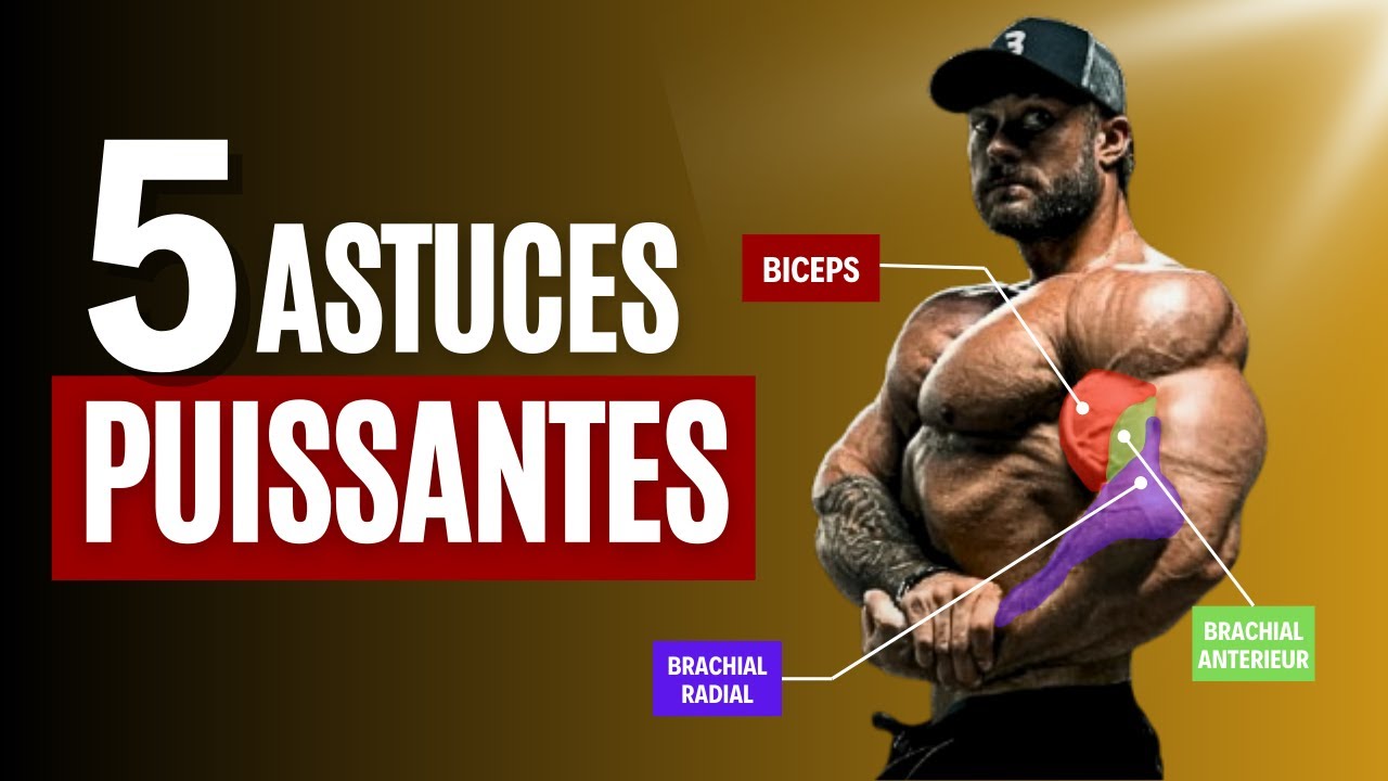 Comment avoir des bras musclés : BICEPS ( Rapide et Efficace ) - YouTube